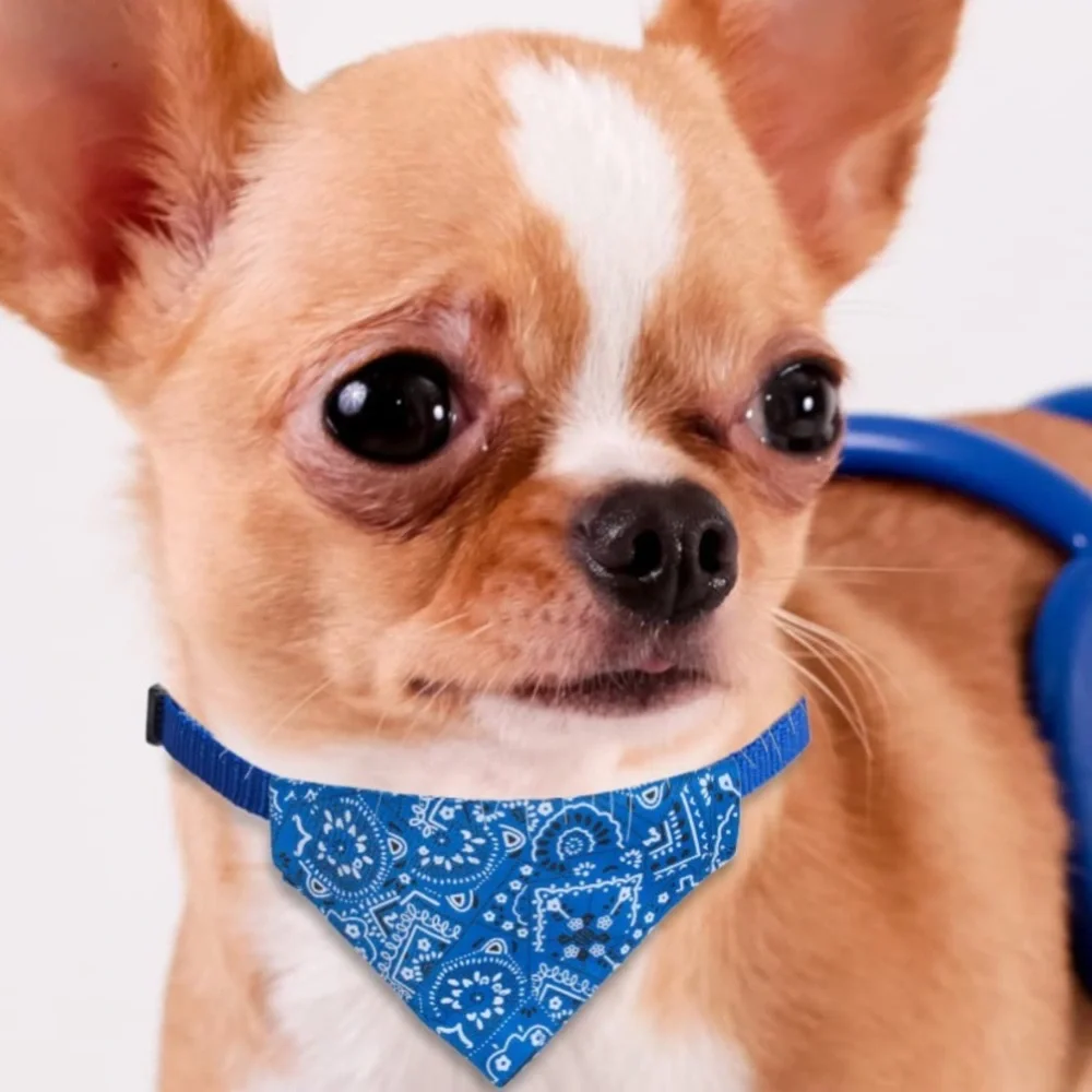 Yellow dog or cat bandana collar